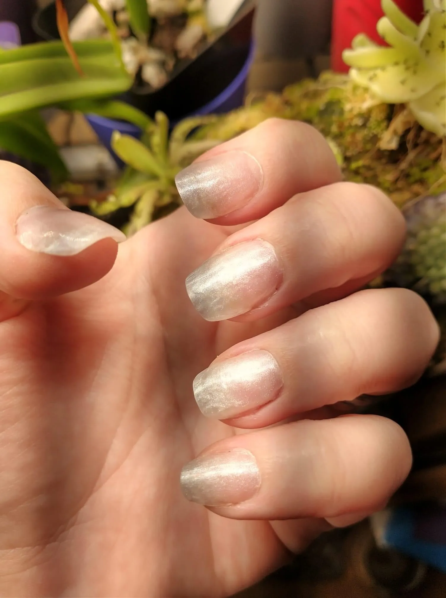 Cotton Tail-Builder Gel